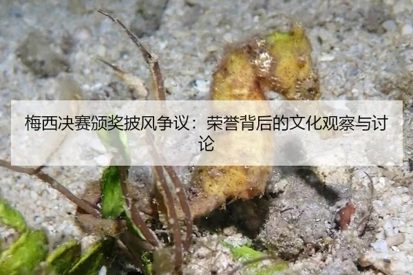 mei-xi-jue-sai-ban-jiang-pi-feng-zheng-yi-rong-yu-bei-hou-de-wen-hua-guan-cha-yu-tao-lun-2-394.jpg